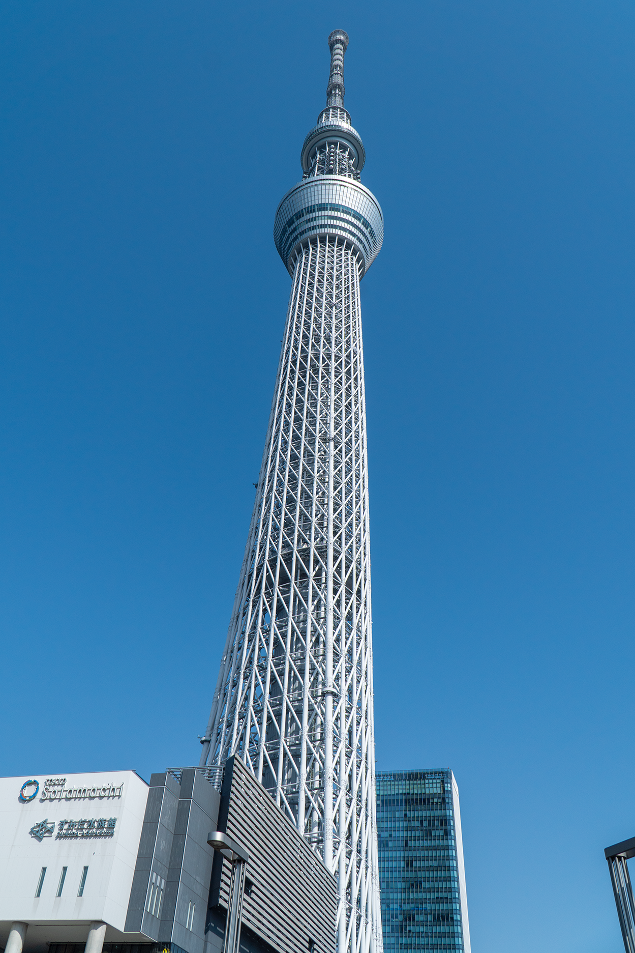 DSC00395 - でじねこ本舗