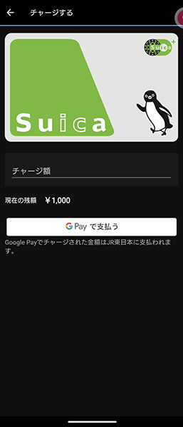 Screenshot_20230410-172932 - でじねこ本舗 Garmin Connect