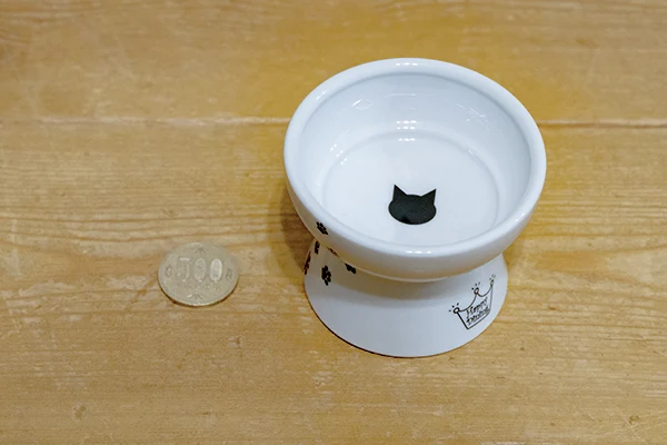DSC00901 - でじねこ本舗 500円玉と比較